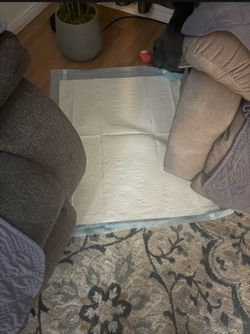 puppy pad