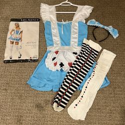 Women’s Sexy Alice In Wonderland Girl Costume - Size S