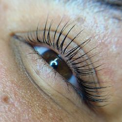 Lashes