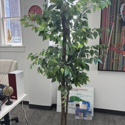 realistic tall plant 