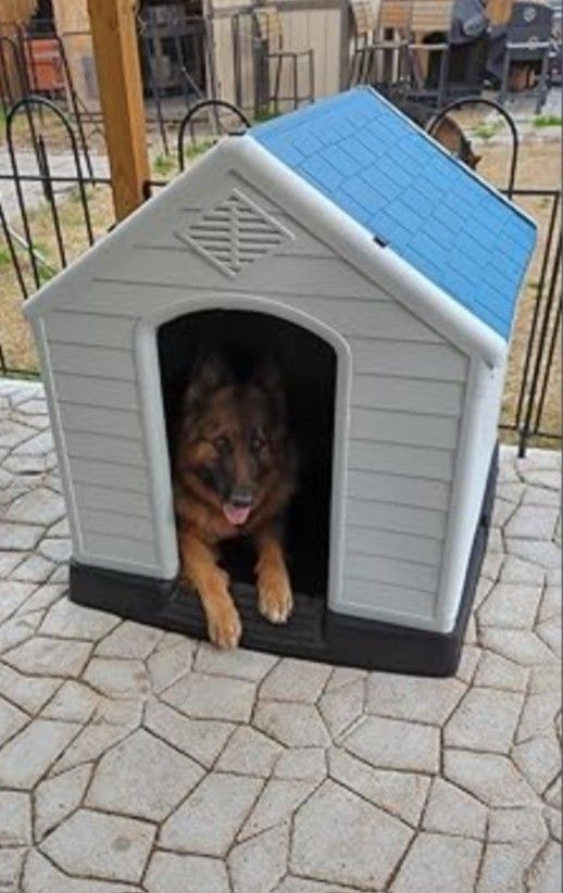 Brand New In Box Xl Dog House Water Proof Raised Base Dog Igloo Casa De Mascota Nuevo  ADD A BED FOR INSIDE FOR $25