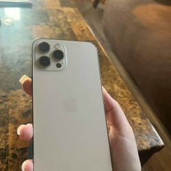 Apple  Phone   12  Pro  Max   
