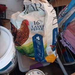 Free Chicken Food About Half Bag Full