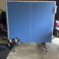 Ping Pong Game Table Tennis