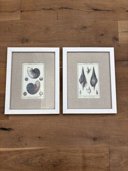 Cottage Seashell Art