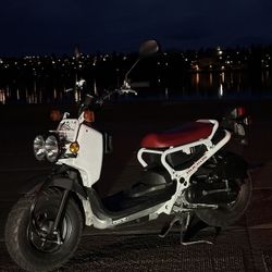 2019 Honda ruckus