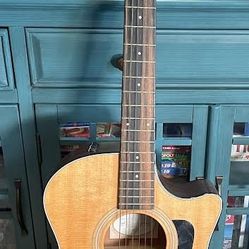 Taylor 314ce Acoustic Guitar With Amp And Case