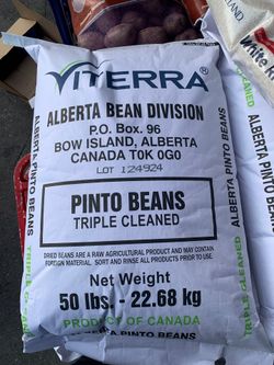 Pinto beans