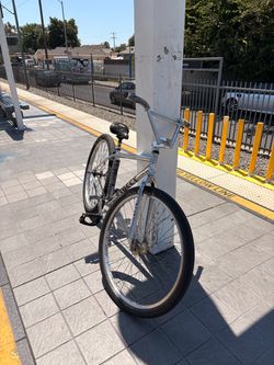 29er