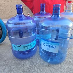 Water Bottles 