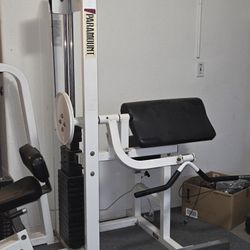 Preacher Curl Stacked Machine 