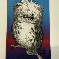 William Kolliker Owl Etching 