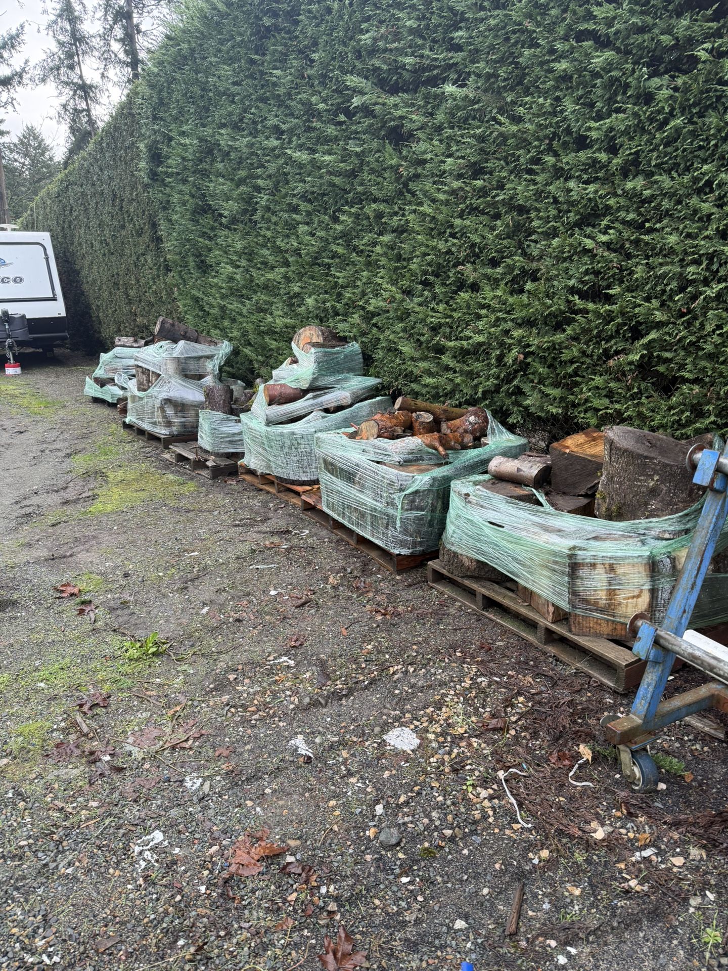 Variety Specie Firewood. Well Over A Cord