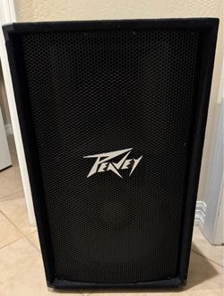 Pair Peavey PV115 15” PA Speakers – Excellent Condition
