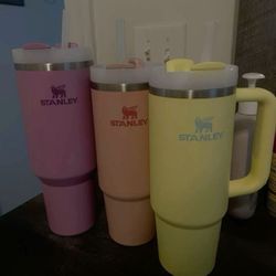 Stanley Cups Brand New Never Used Come with Straws!
