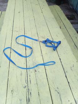 Pechera para perro chikito