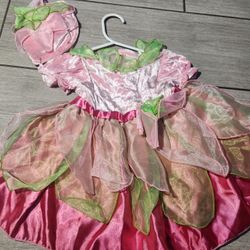 Girl Fairy 12 M toddler 