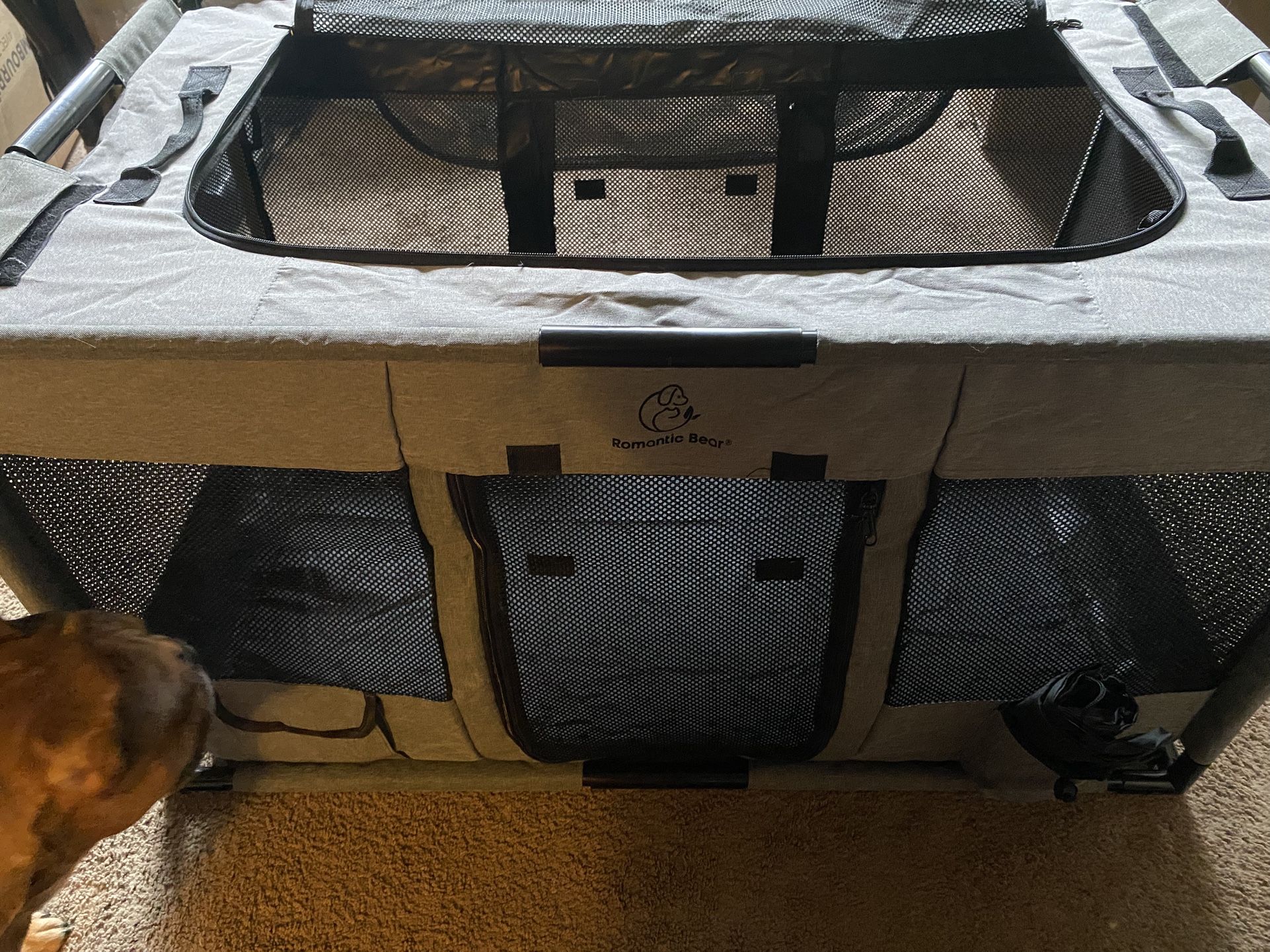 Animal Playpen