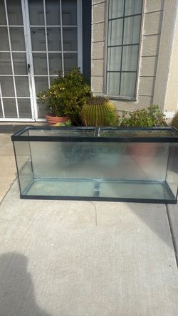 60 gallon aquarium