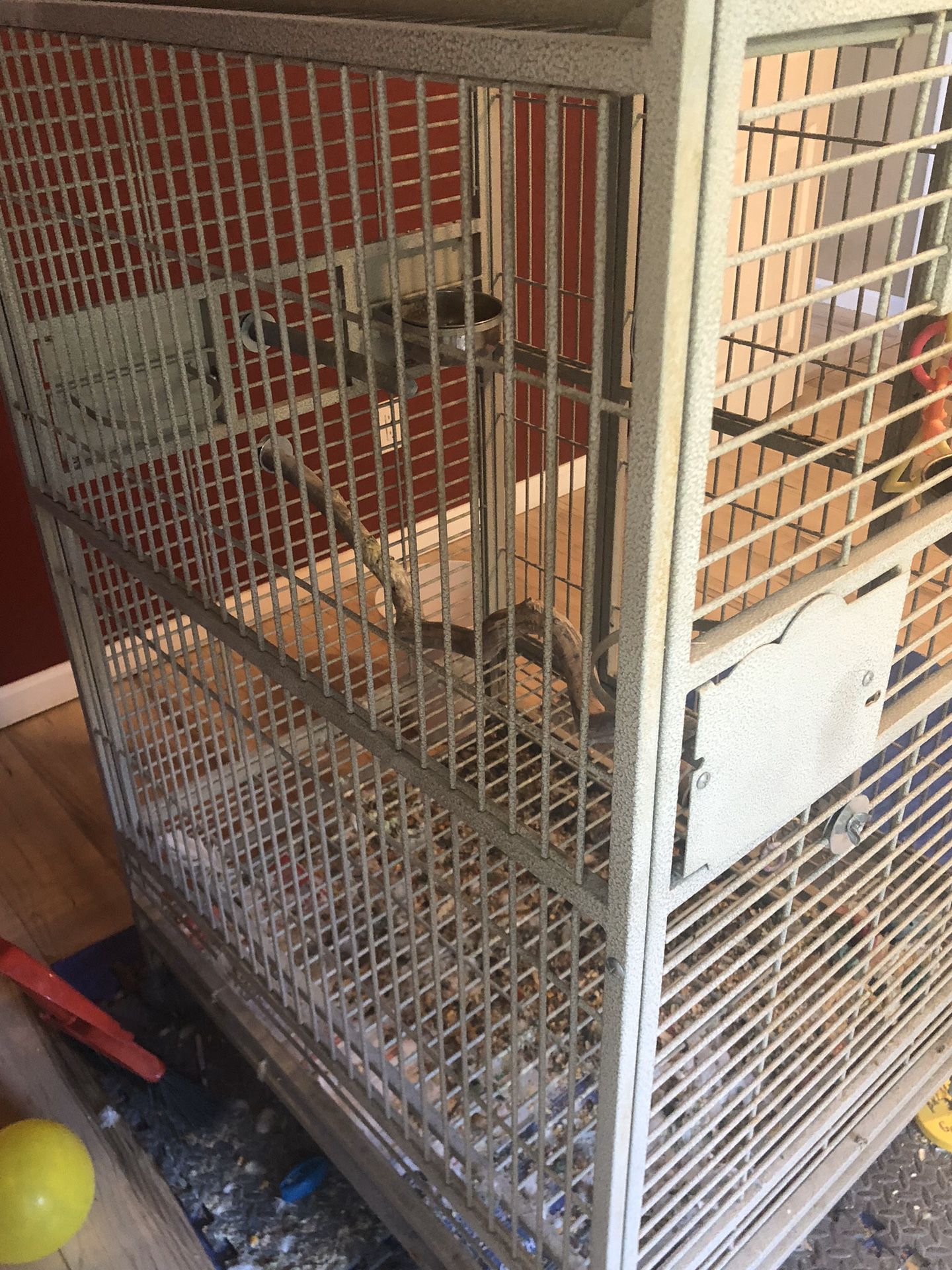 Large cockatoo bird cage