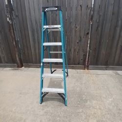 6ft  Ladder