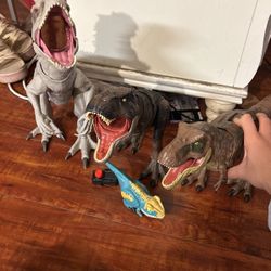 Dinosaurs