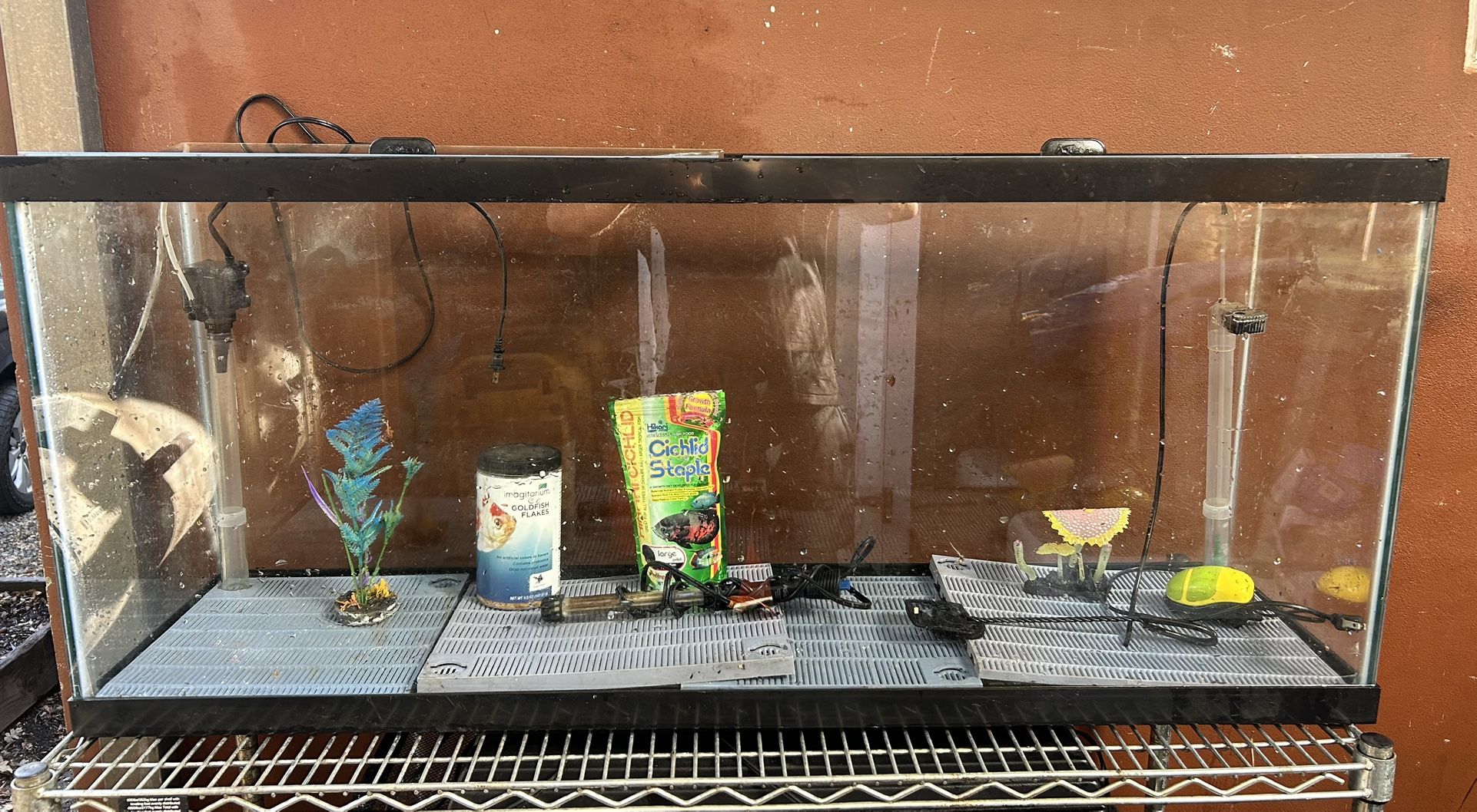 Fish Tank