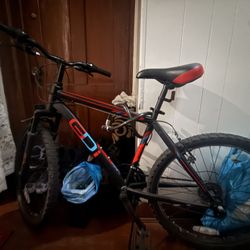 GDi bike 24 inch tires and 17 inch frame
