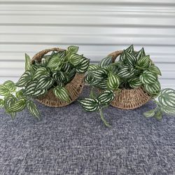 Pair Artificial Plant Decor - Model Home Decor 