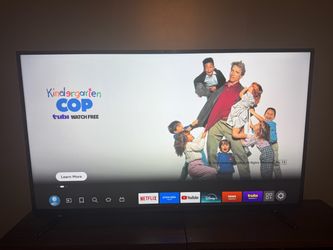 55 inch tv