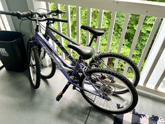 two 20-inch bicycles