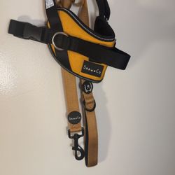 ShawnCo small Orange No Pull Harness And Leash 