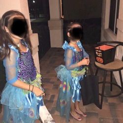 Peacock Halloween Costume ( S or M ). Both sizes available.