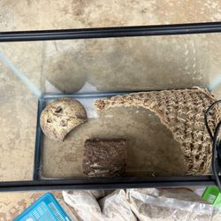 Hermit Crab Habitat / Aquarium