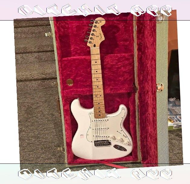 Make Noise with Top Level Electric Guitar Collection history animal