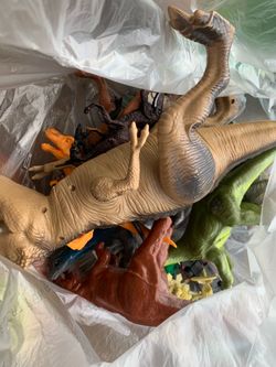 Dino inflatable/toys