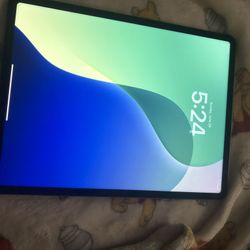 iPad Pro 12.9in 5th Gen 256gb