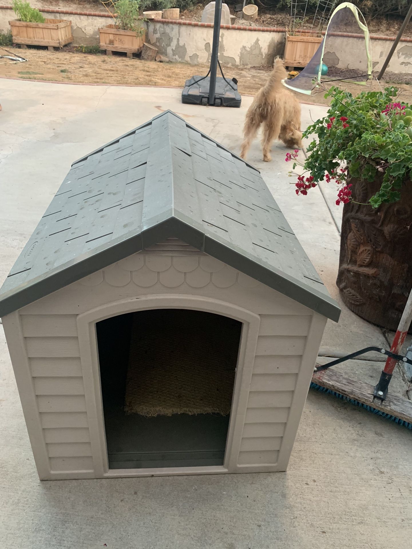 Dog House
