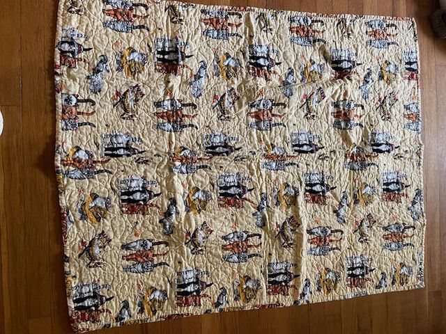 Double Sided Lovely Cat Theme Quilt