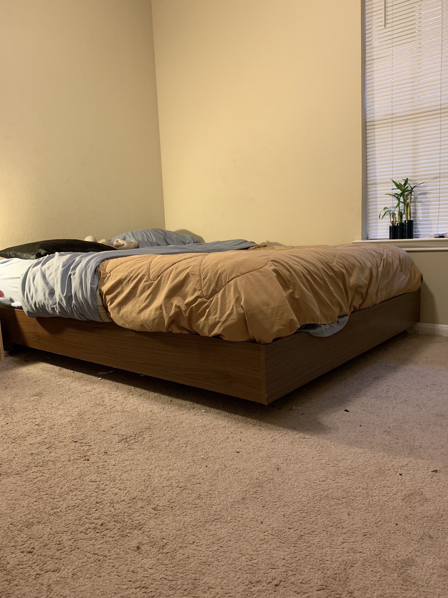 Aristotle Platform Queen Bed Frame