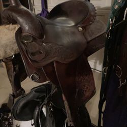 Western And English Saddle And Tack