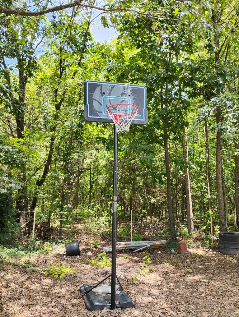 Lifetime Basketball Goal