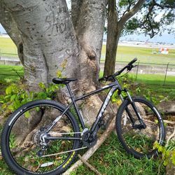 Trek MARLIN 6