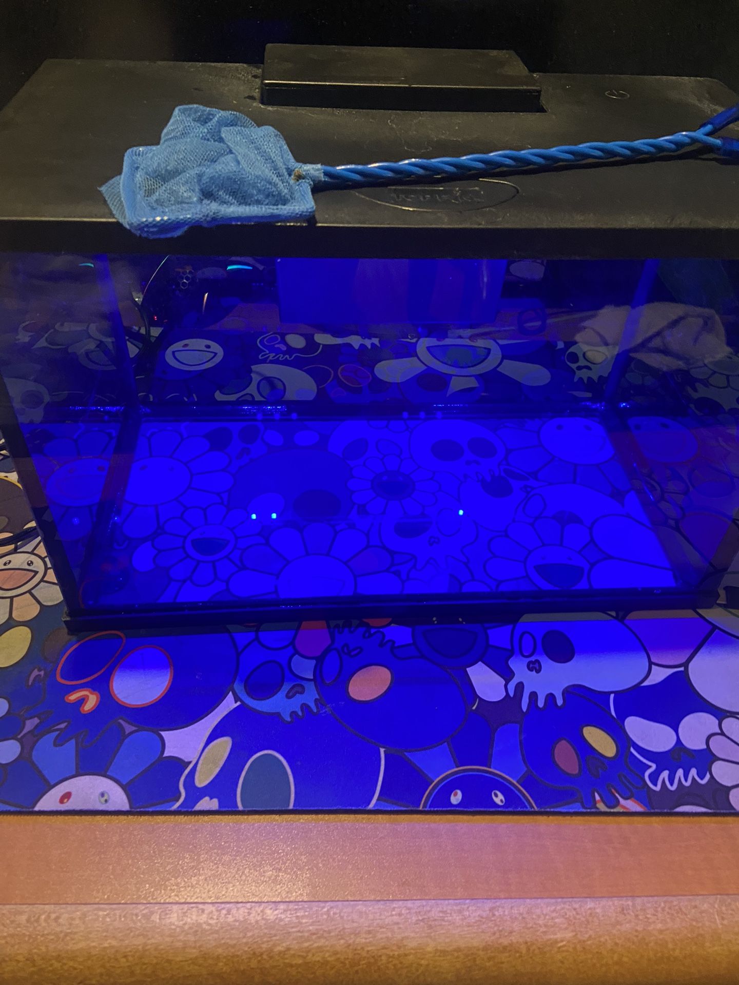 3 Gallon Glofish Tank For Sale In Gardena CA OfferUp 3-gallon-glofish-tank-for-sale-in-gardena-ca-offerup