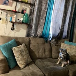 Free  Brown Micro Suede Couch