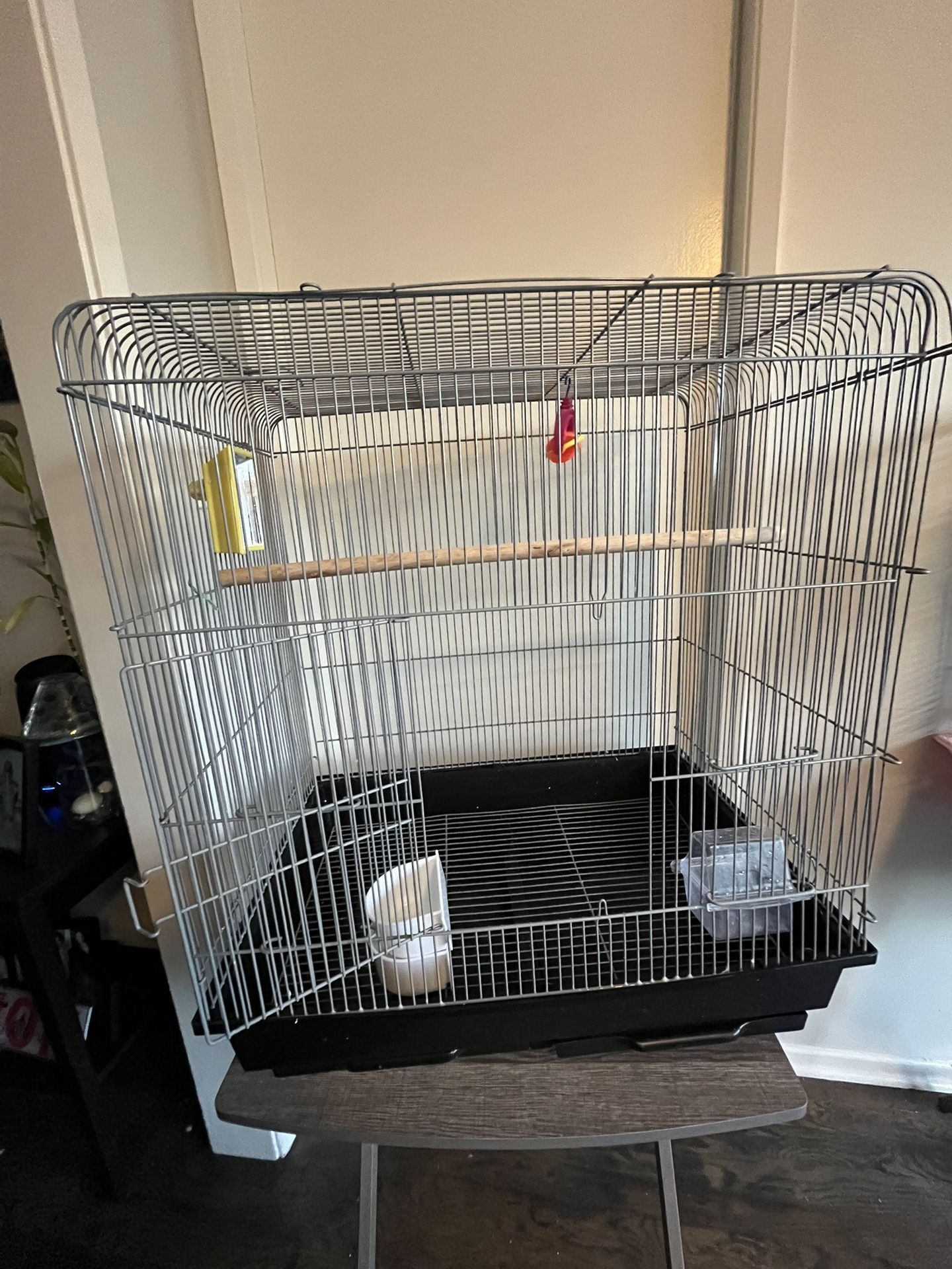Bird Cage
