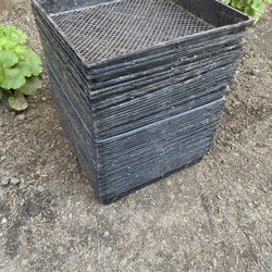 Seed Starter Flats Trays