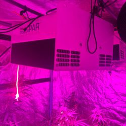 Grow Tent 