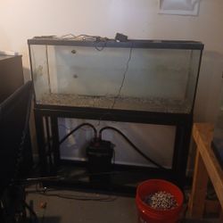 55 Gallon Fish Tank 