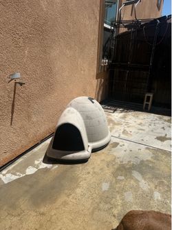 Casa de perrito